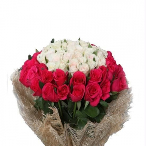 Bright Roses - 24 Stems Bouquet